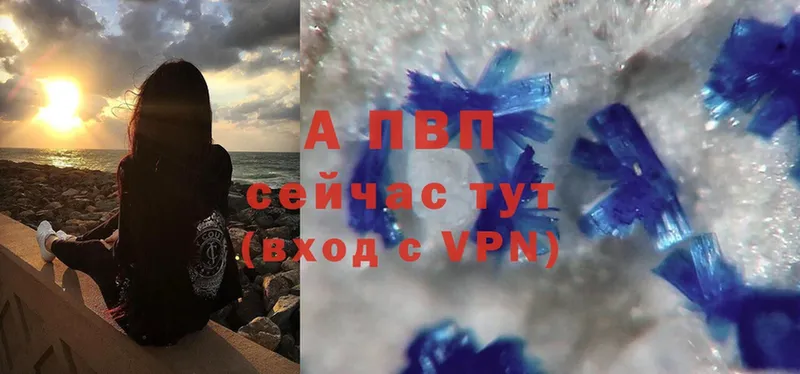 нарко площадка состав  Ногинск  Альфа ПВП СК КРИС 