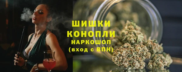 прущие грибы Кукмор