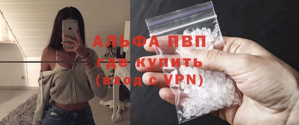 прущие грибы Кукмор