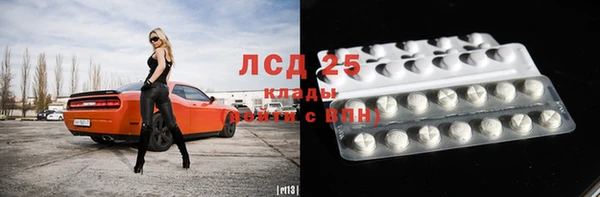 прущие грибы Кукмор
