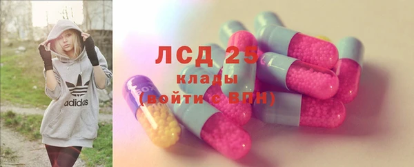 прущие грибы Кукмор