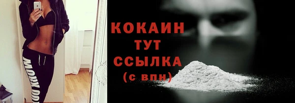 прущие грибы Кукмор