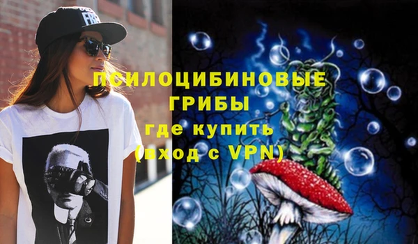 прущие грибы Кукмор