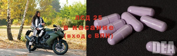 прущие грибы Кукмор