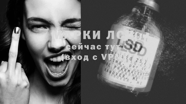 прущие грибы Кукмор