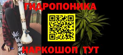 крисы Волжск