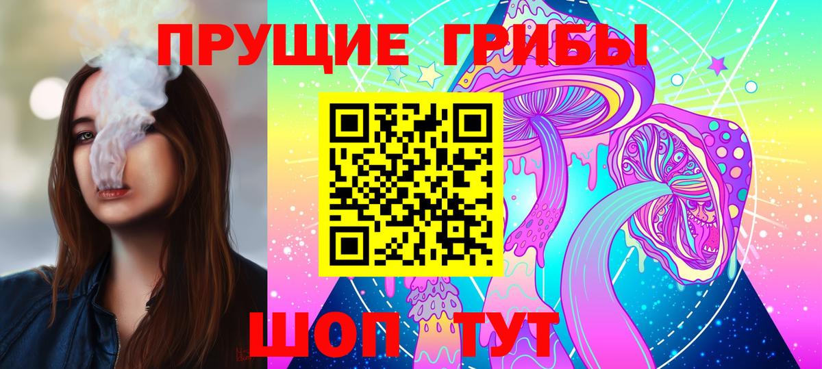 Псилоцибиновые грибы Psilocybe  Вход с VPN  купить наркоту  Ногинск 