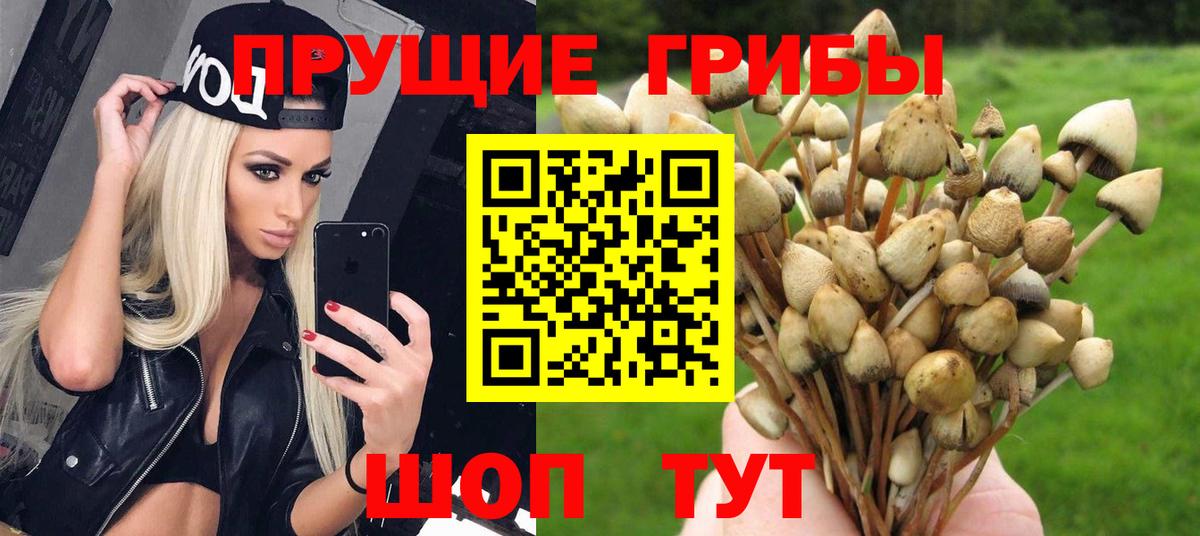 Псилоцибиновые грибы прущие грибы  Ногинск 