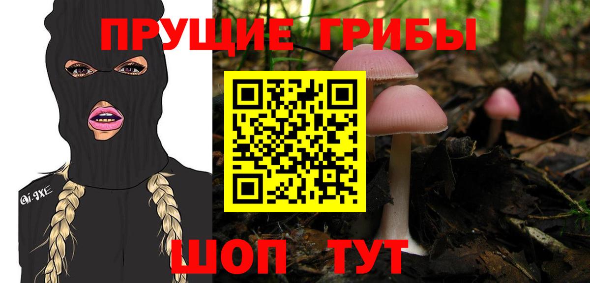 Галлюциногенные грибы Magic Shrooms Ногинск